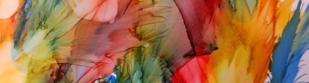 banner4gallery